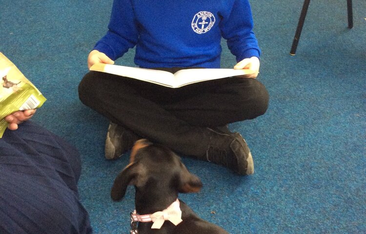 Image of Reading to Saffy Dog 