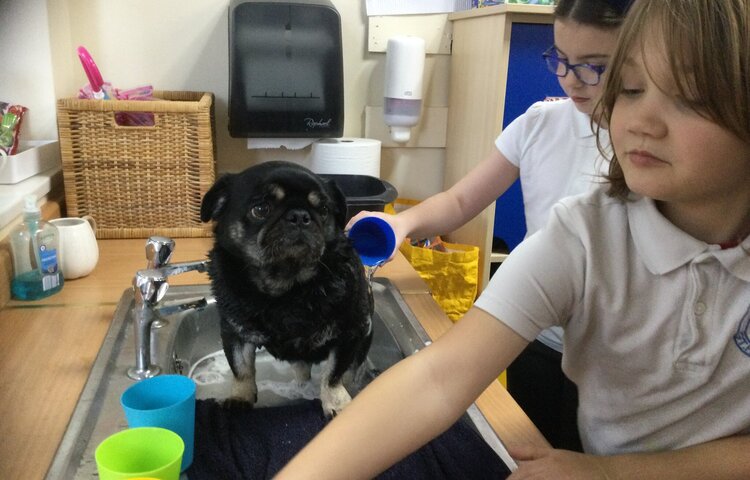 Image of Ralph’s Bath Day