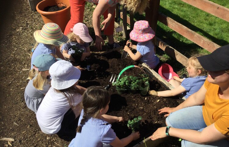 Image of Gardening in the sunshine!