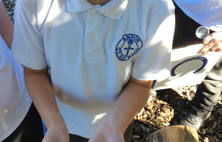 Image of Mini Beast Hunt in Science 