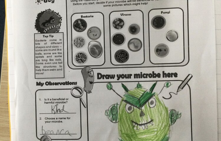 Image of Making microbes!