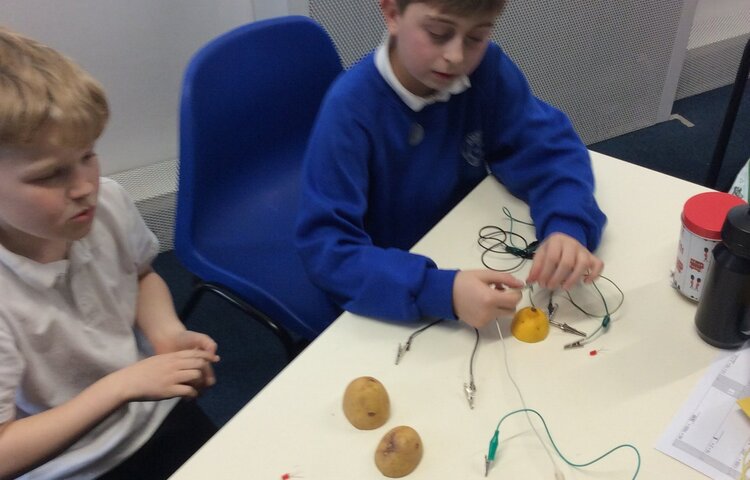 Image of Class 4 - fruit and vegetable circuits