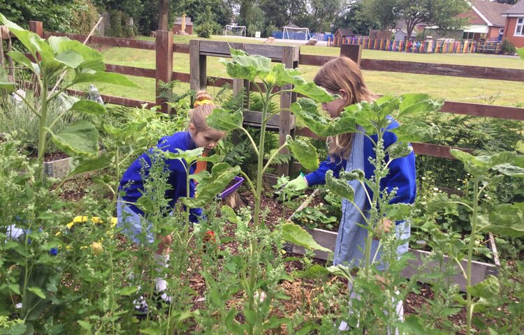 Image of Outdoor classroom on a … Friday!