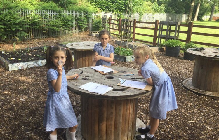 Image of French in our outdoor classroom 