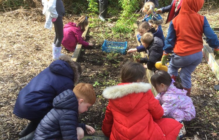 Image of Gardening afternoon with Class 1