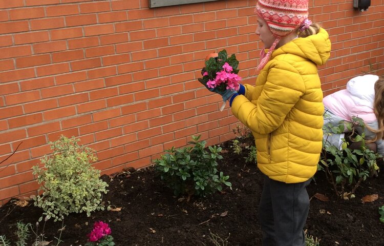 Image of Planting in the Remembrance Garden