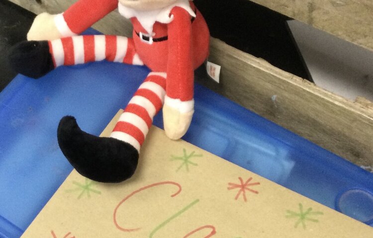 Image of A Special Visitor