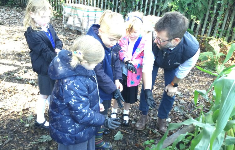 Image of A Visit to the Outdoor Classroom 