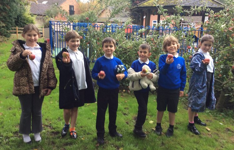Image of Making bird feeders