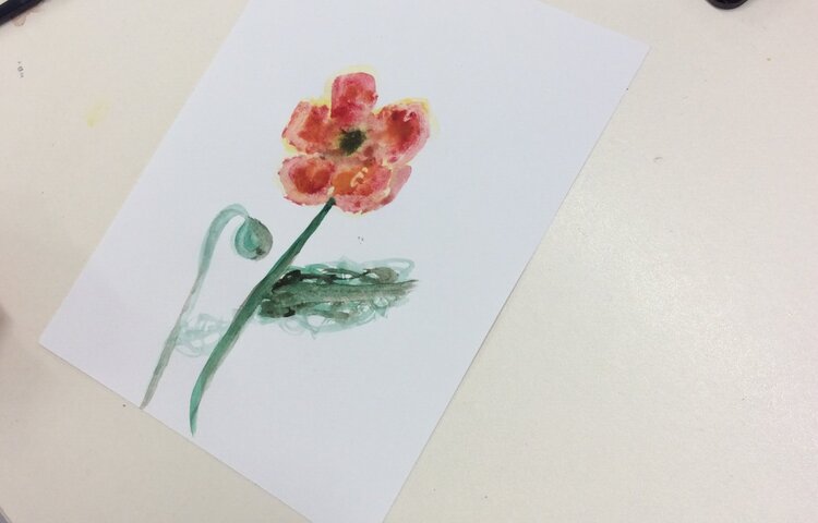 Image of Watercolour poppy painting