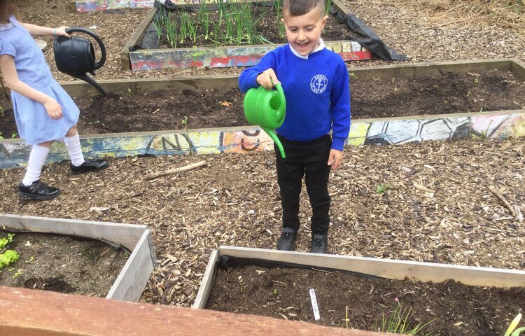 Image of Taking care of the outdoor classroom 