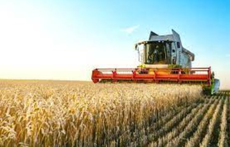 Image of Harvest Celebrations