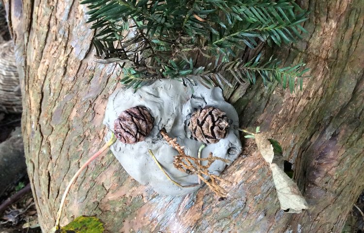 Image of Clay Tree Faces