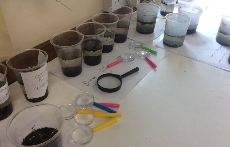 Image of Soil testing in Science