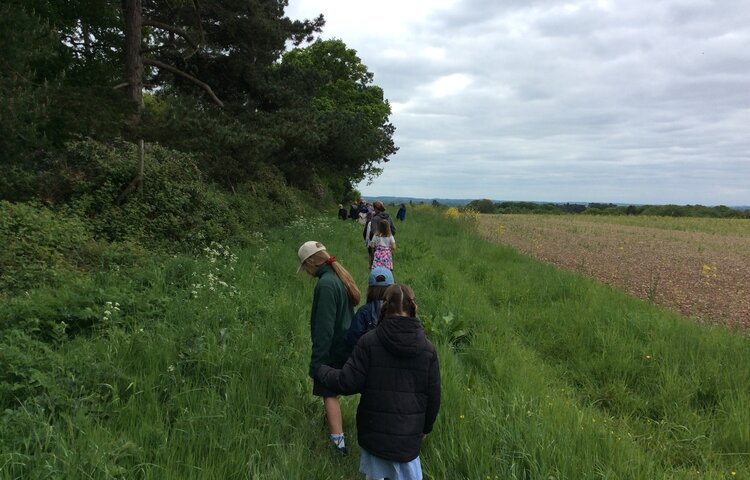Image of Class 4 Packington Farm Trip 2025