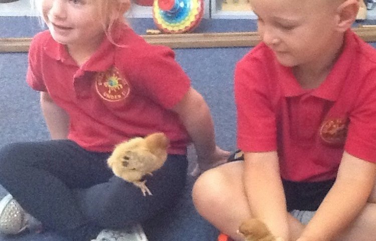 Image of Furry Cuddles at Nursery!