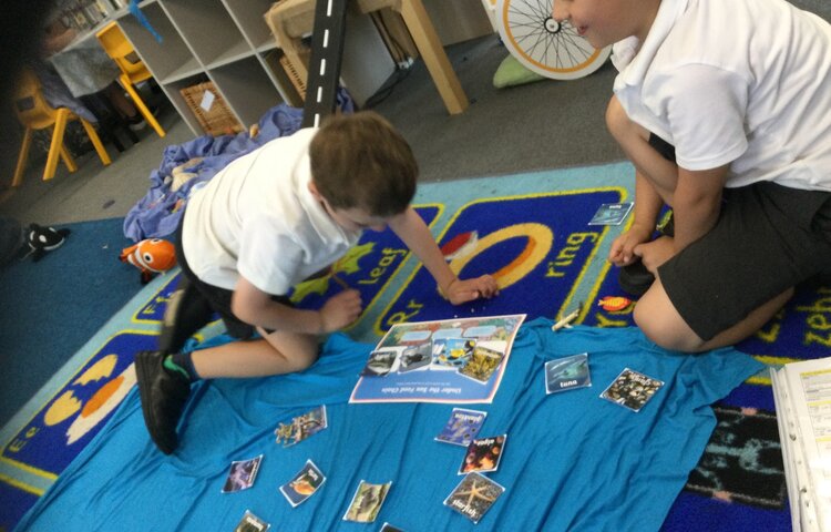 Image of Exploring food chains!