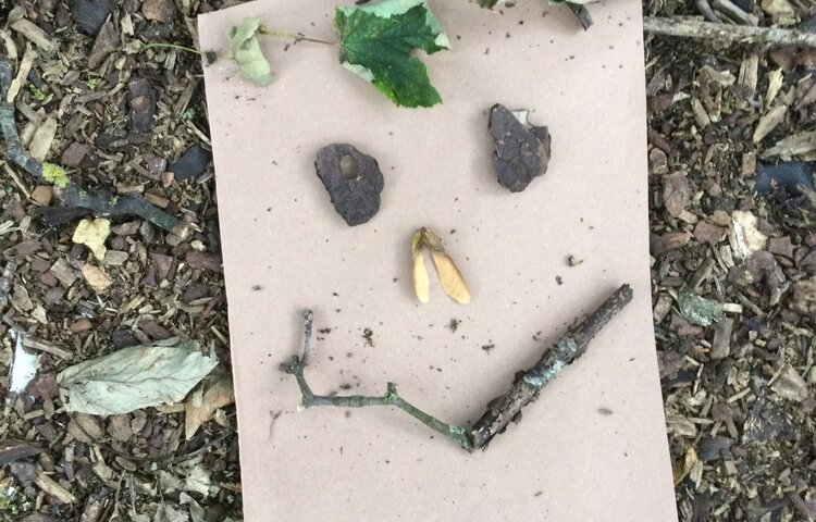 Image of Nature faces