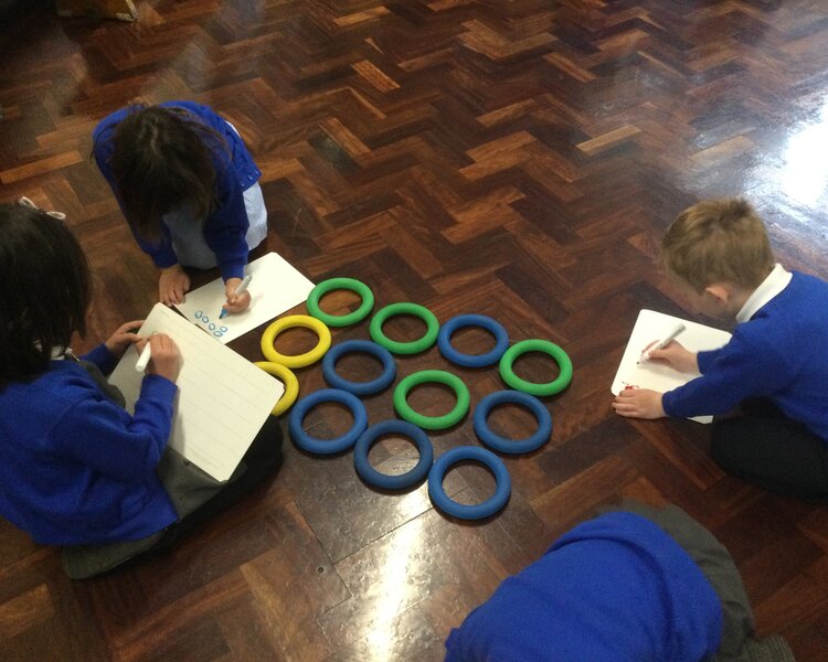 Image of Year 1 Arrays