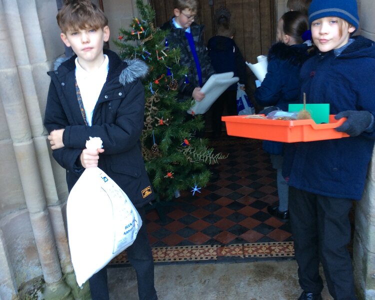 Image of Christmas tree festival 