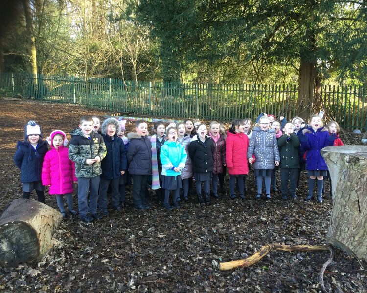 Image of Class 2 Winter walk