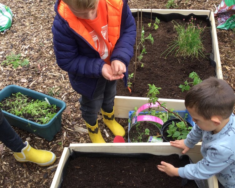 Image of Gardening PTFA class 1