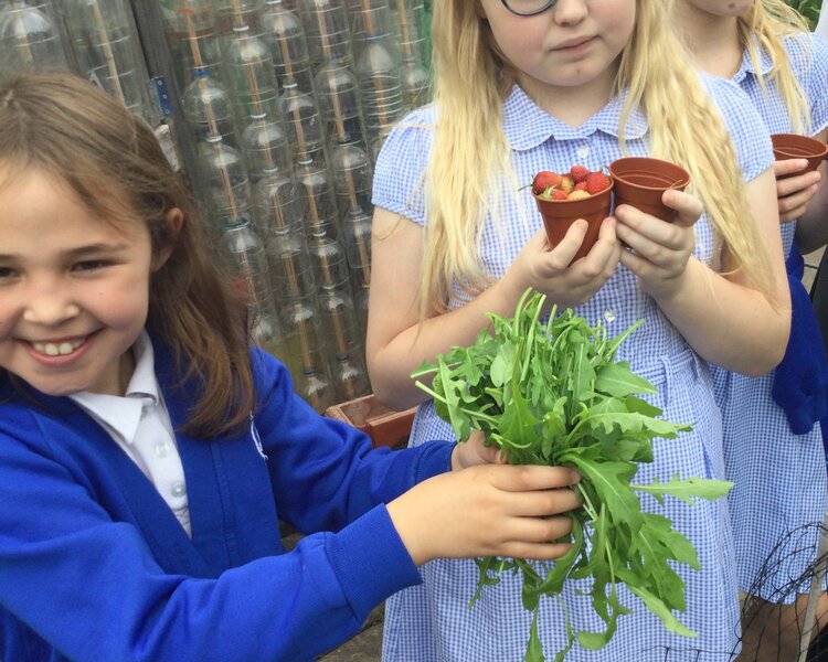 Image of Gardening 