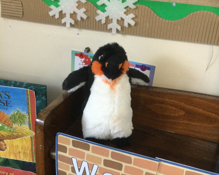 Image of Missing Penguin!