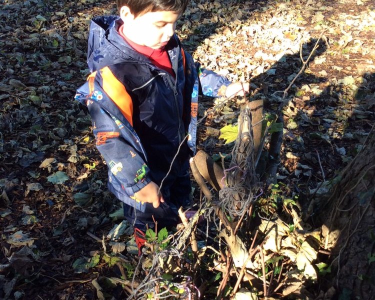 Image of Nursery outdoor