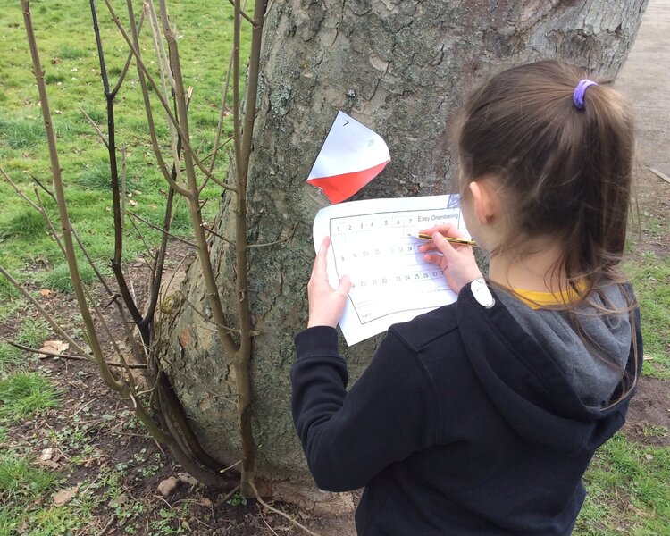 Image of Orienteering class 3