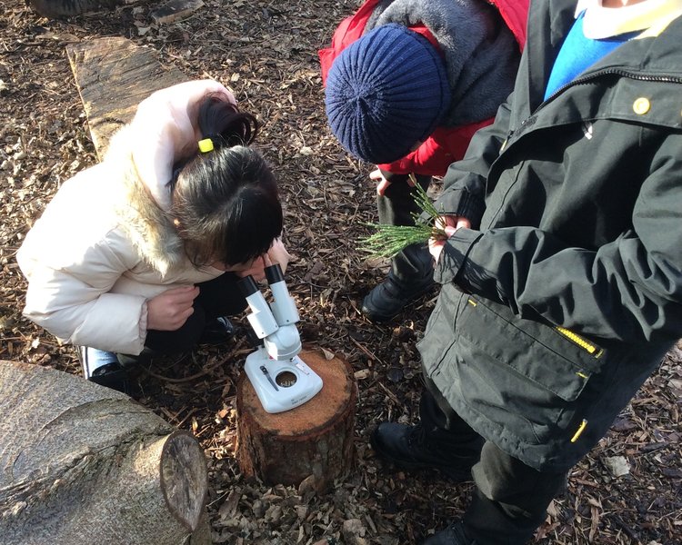 Image of Outdoor classroom class 3