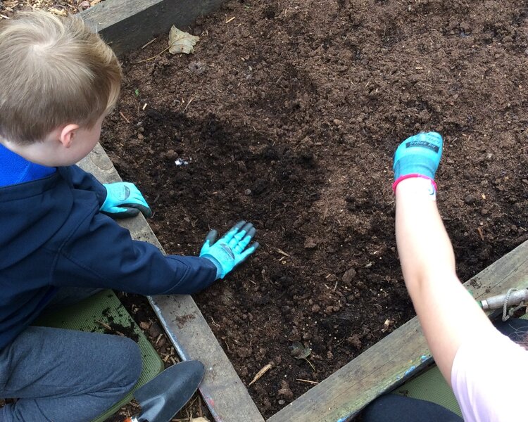 Image of Outdoor classroom fun!