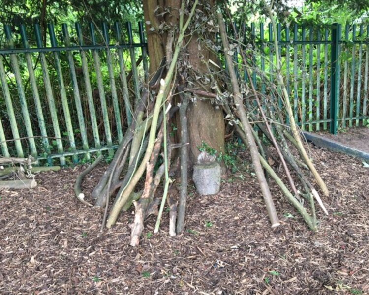 Image of Outdoor classroom phase 1