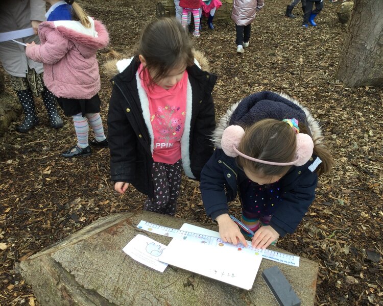 Image of Outdoor maths fun