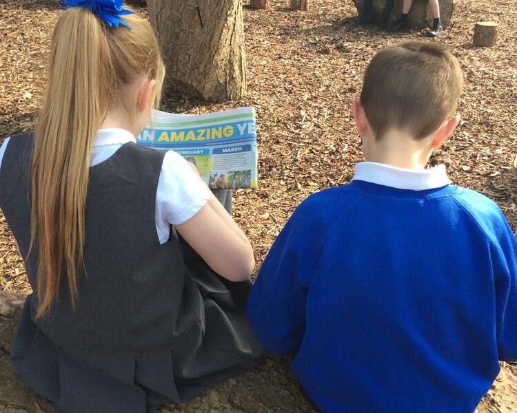 Image of Outdoor reading