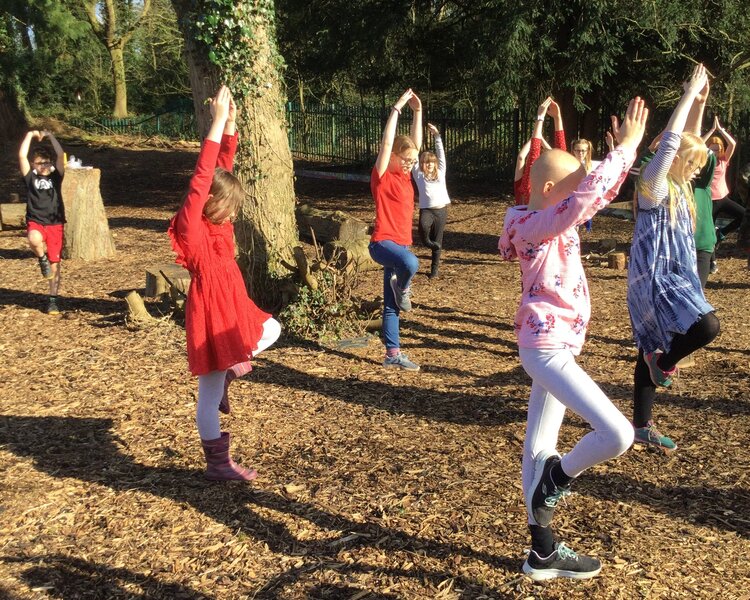 Image of Outdoor yoga