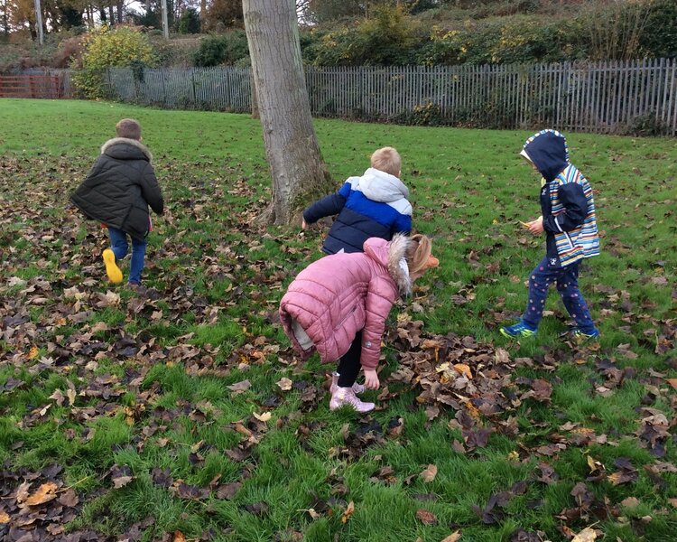 Image of Pudsey leaf Art 