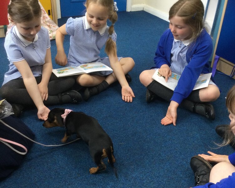 Image of Saffy joins our guided reading