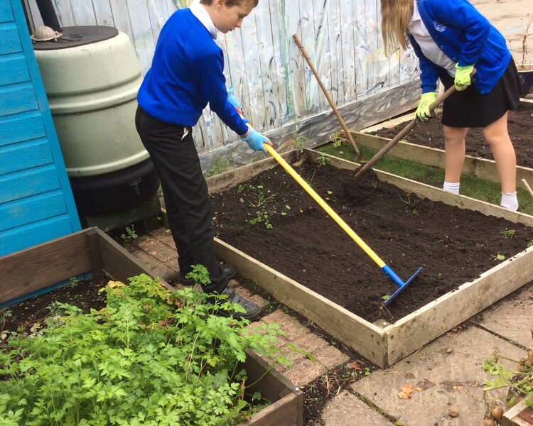 Image of Winter Garden prep