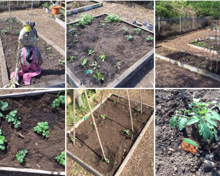 Image of Planting time!