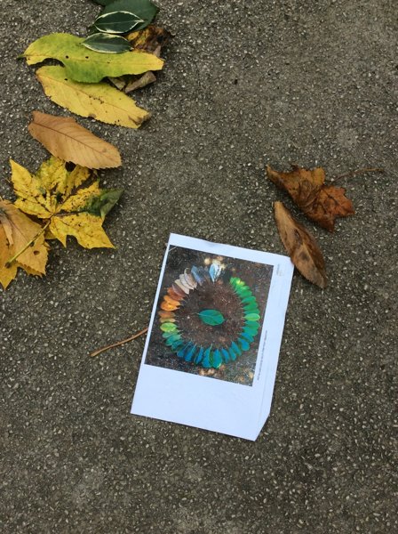 Image of Our Circle of Autumn Leaves