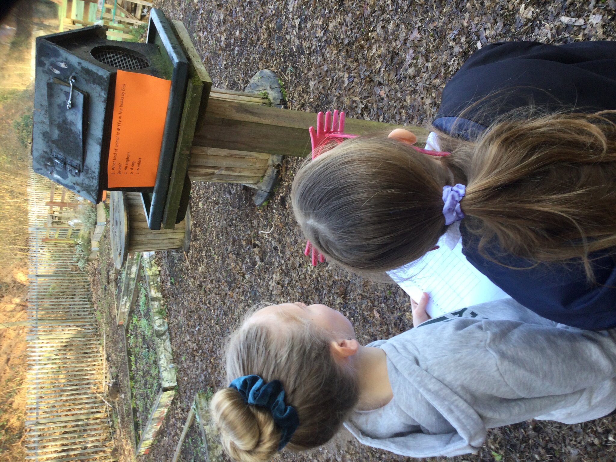 Image of World Book Day Quiz 