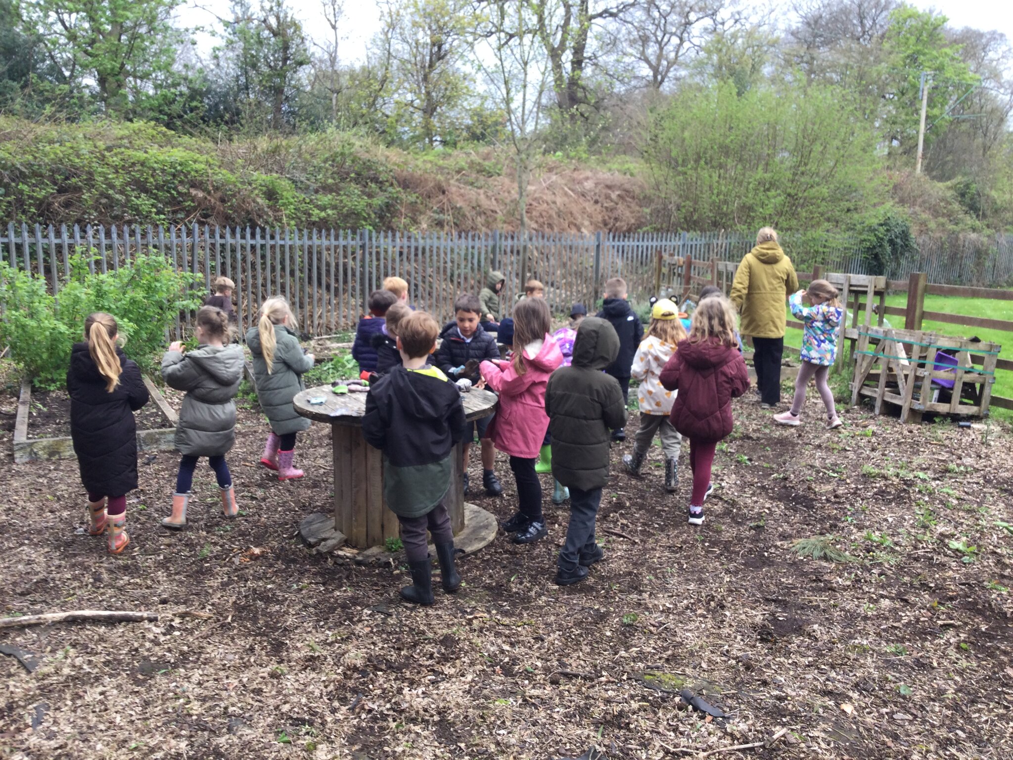 Image of Outdoor classroom clean up!