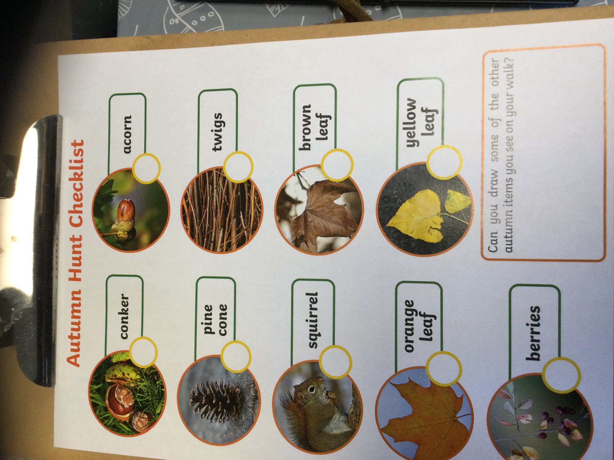 Image of Autumn Walk Hunt