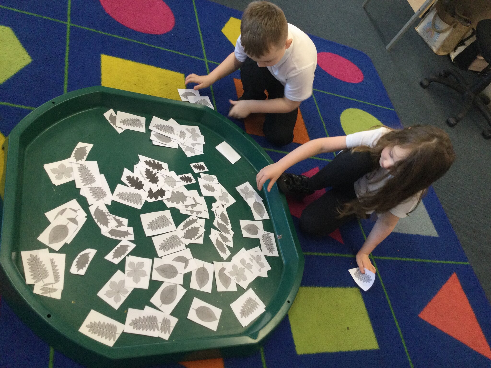 Image of Science- leaf classification