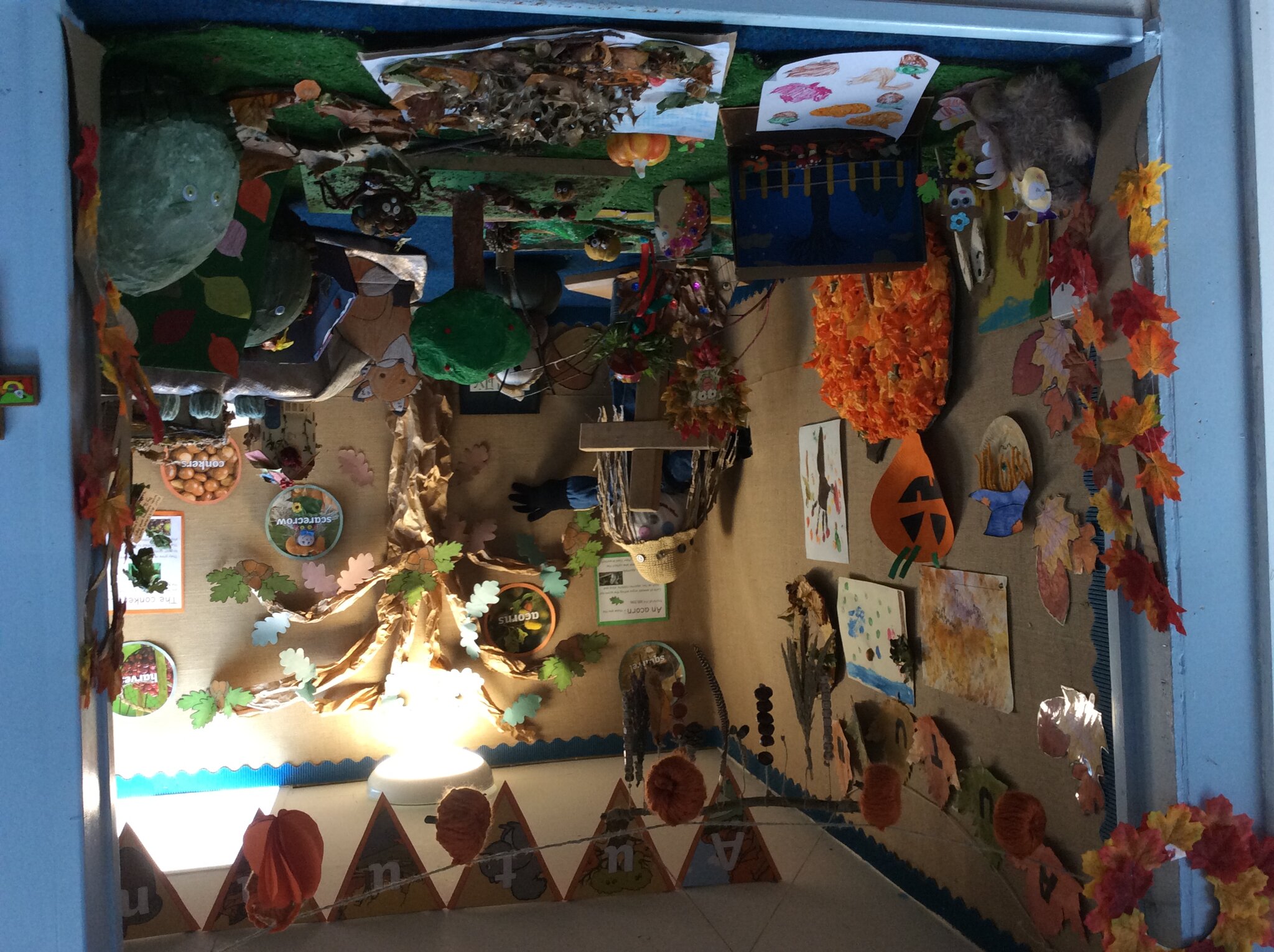 Image of Autumn Display 