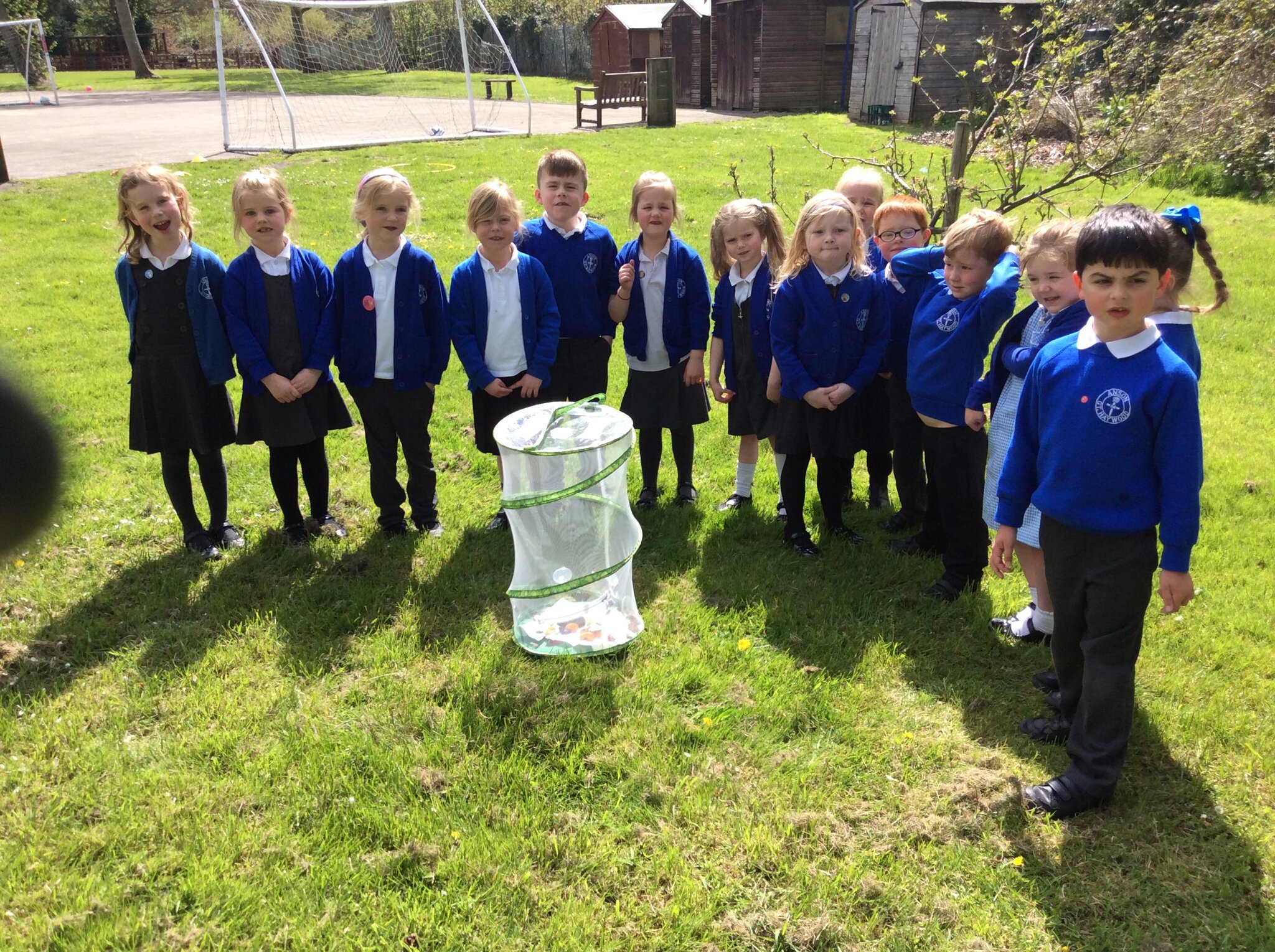 Image of Releasing our butterflies