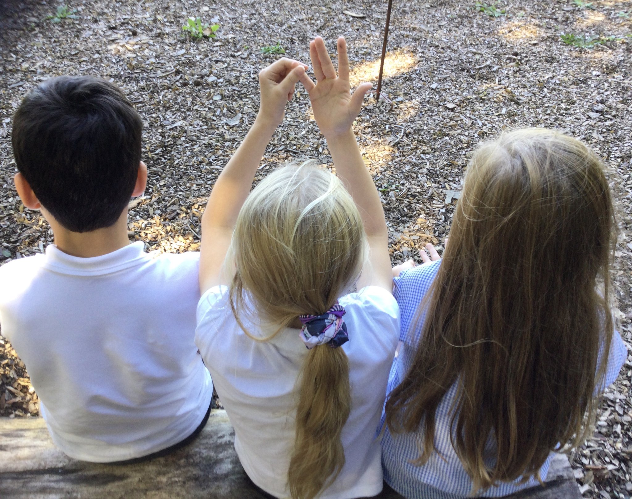 Image of Noticing