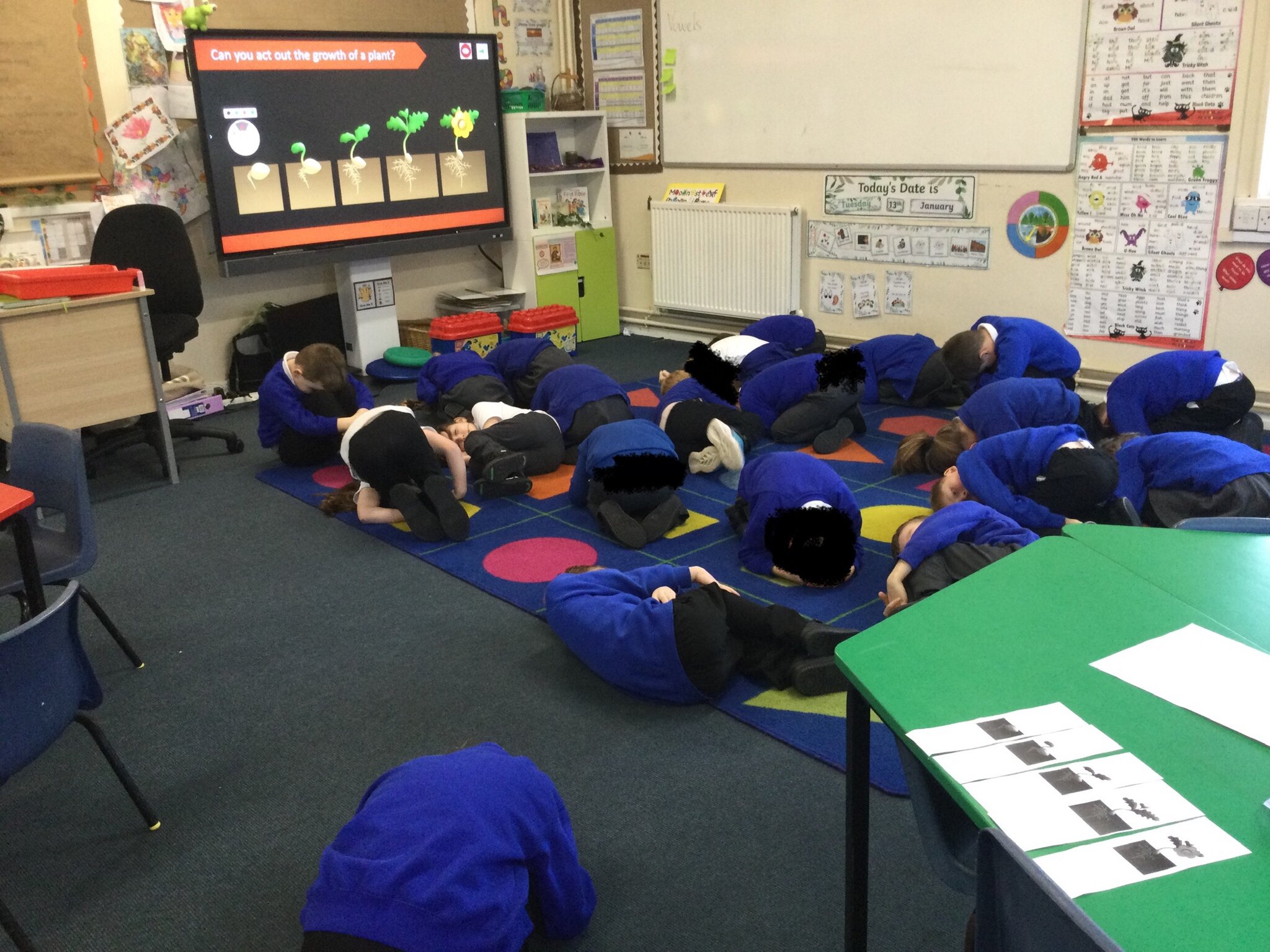 Image of Science-How do seeds change over time?