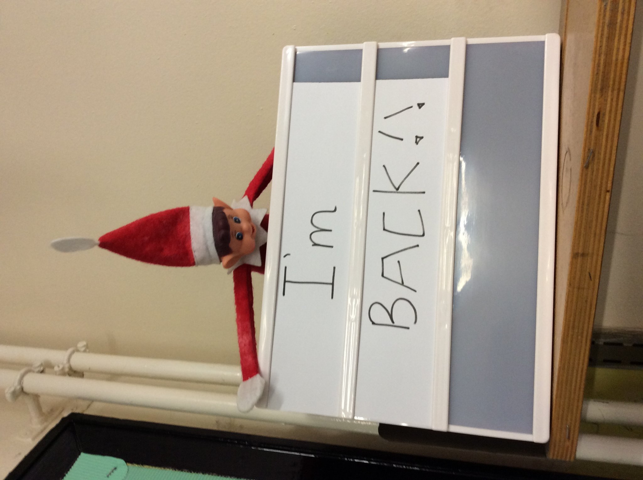 Image of Elf on the Shelf!